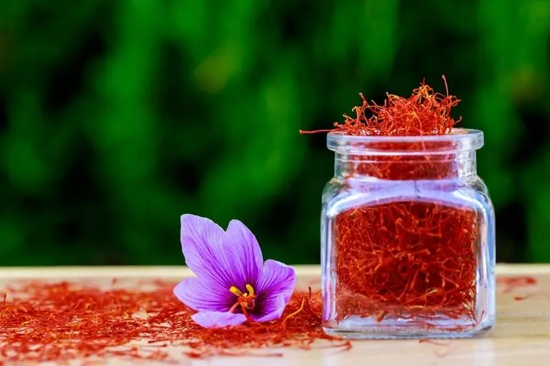 هشدار سخنگوی سازمان غذا و دارو درباره تقلبی بودن عصاره زعفران 