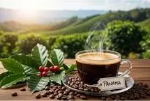 سرو گران‌ترین قهوه دنیا در دبی