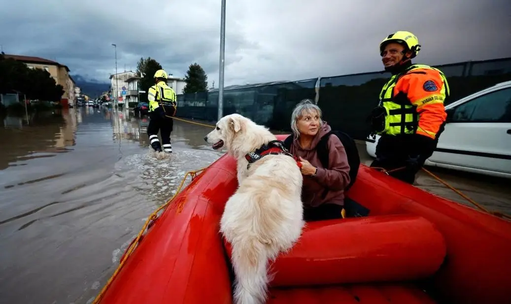 نجات یک سگ از سیل