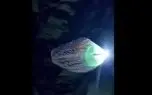 ببینید؛ کشف موجودی درخشان و ناشناخته در اعماق دریا