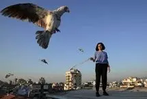 تصاویر؛ زن کفترباز لبنانی