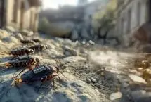 آلمانی ها سوسک‌ زنده را به جاسوس تبدیل می‌کنند!