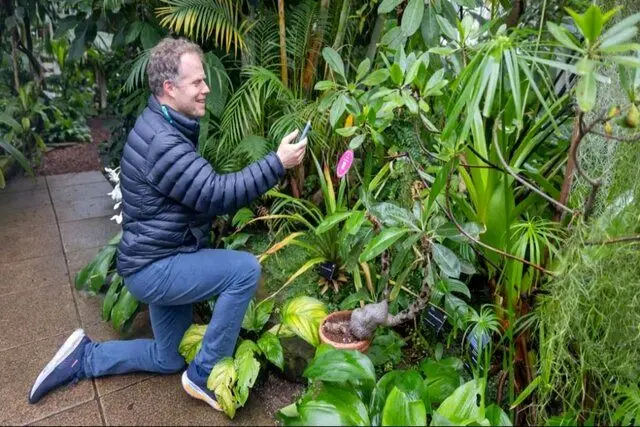 گفتگو با گیاهان به کمک هوش مصنوعی
