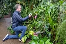 گفتگو با گیاهان به کمک هوش مصنوعی
