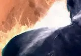 فاجعه‌ای که لکه نفتی عمان به دنبال دارد! 