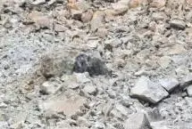 ببینید؛ رانش مرگبار زمین در معدن سنگ در استان جاوای اندونزی