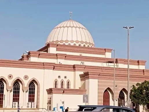 ببینید؛ مسجدی که بهشت پرندگان است