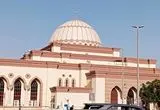 ببینید؛ مسجدی که بهشت پرندگان است