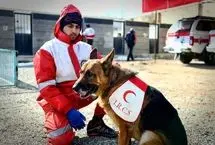 مداوای «لئو» رکورددار عملیات نجات هلال احمر
