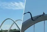اعتراض تک نفره به جنگ با ایران
