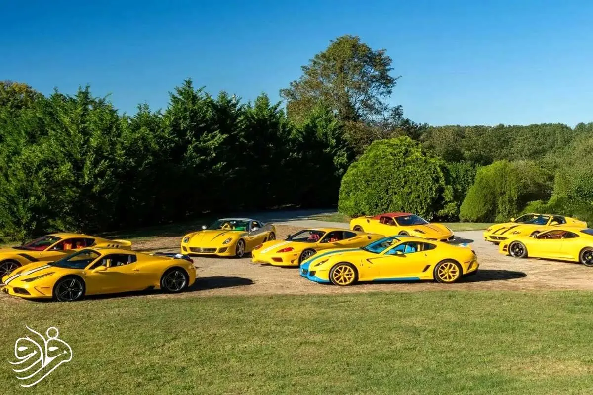 مردی که ۴۸ فراری افسانه‌ای خود را به حراج گذاشت!