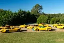 مردی که ۴۸ فراری افسانه‌ای خود را به حراج گذاشت!