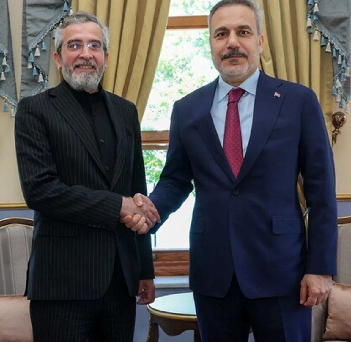 دیدار معاون دبیر شورای عالی امنیت با فیدان در استانبول 