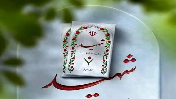 یک مرزبان در سیستان و بلوچستان به شهادت رسید