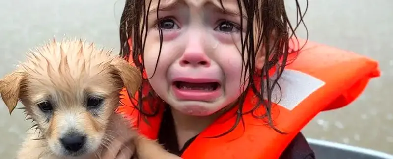 هوش مصنوعی