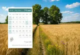 تقویم شهریور ۱۴۰۵؛ روزهای تعطیل و مناسبت‌های این ماه