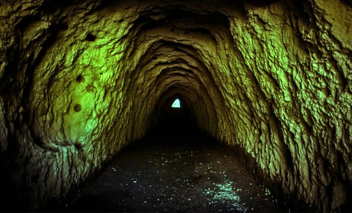 بازگشت از اعماق تاریخ؛ حیات ۴۰ هزار ساله در آلاسکا احیا شد