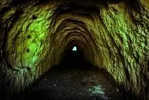 بازگشت از اعماق تاریخ؛ حیات ۴۰ هزار ساله در آلاسکا احیا شد