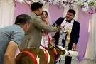 هدیه متفاوت دوستان به داماد در جشن عروسی؛ یک گوساله! 

