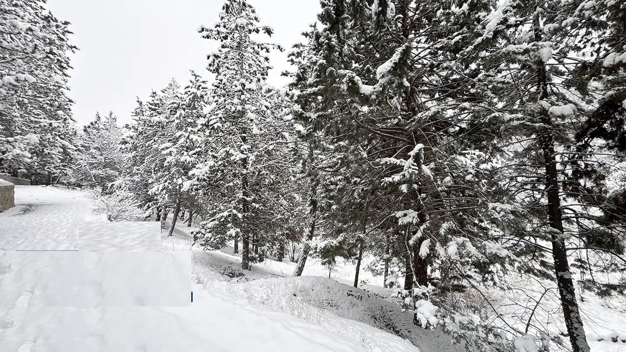 تصاویر؛ بارش برف زمستانی در تهران 