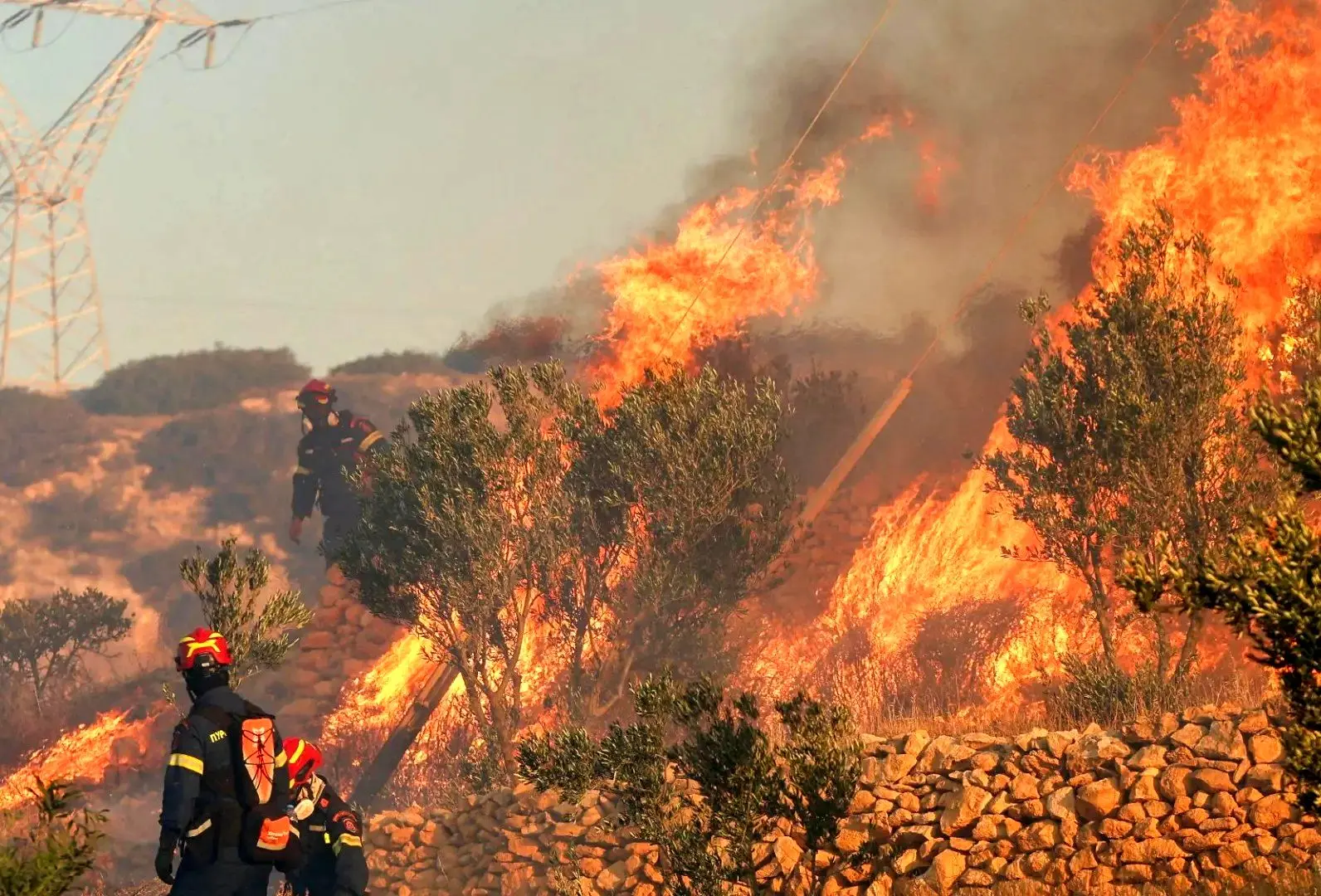 آیا الیت ۲۰ روز در آتش سوخته است؟ 
