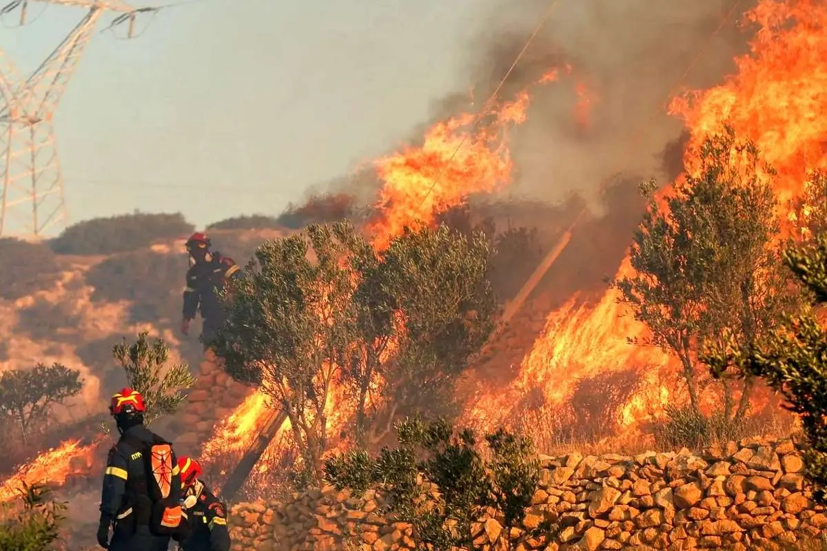 آیا الیت ۲۰ روز در آتش سوخته است؟ 
