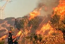 آیا الیت ۲۰ روز در آتش سوخته است؟ 
