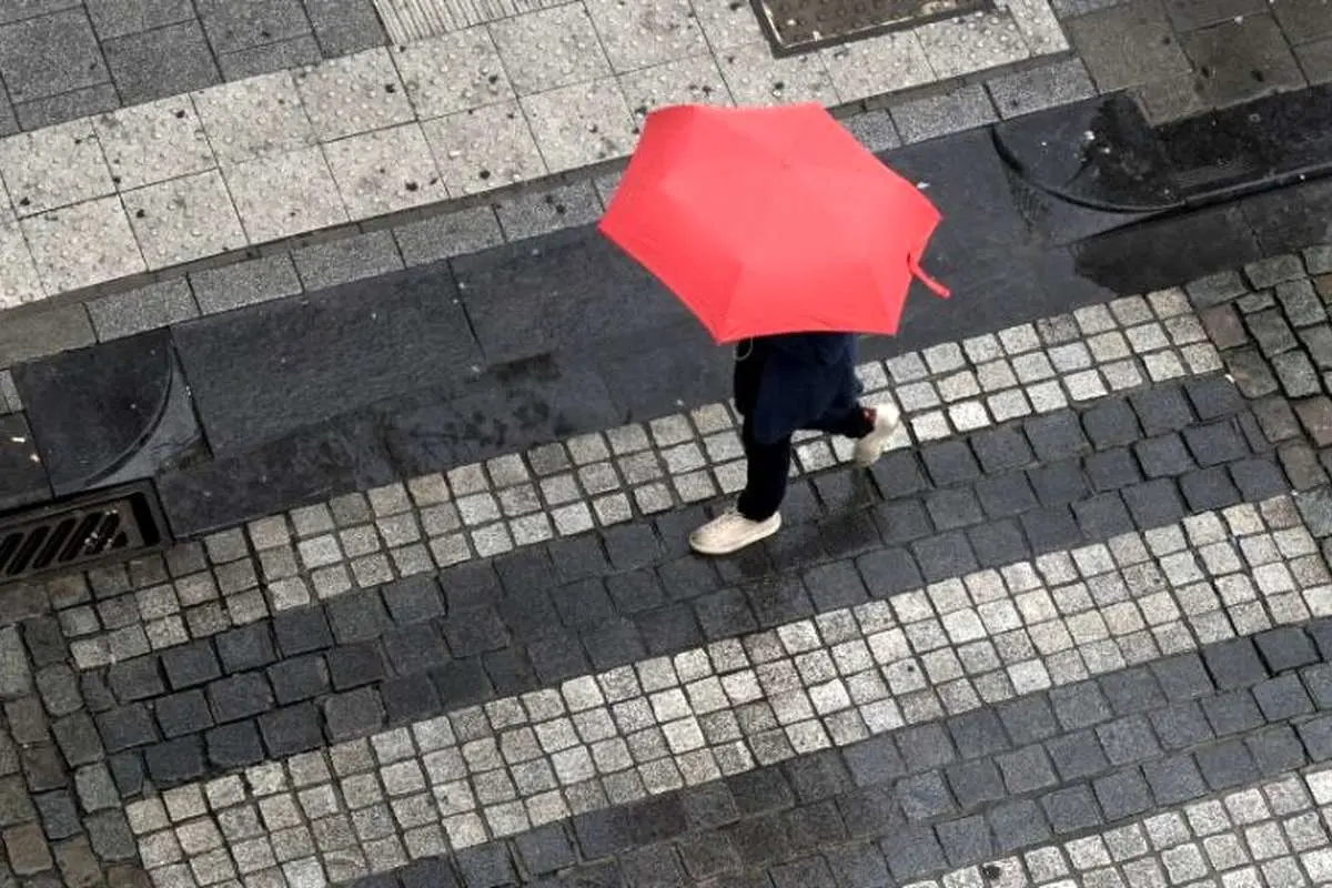 باران در شمال و ارتفاعات البرز و تهران