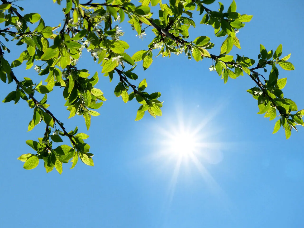کاهش دما از یکشنبه آینده؛ منتظر بارش باشید
