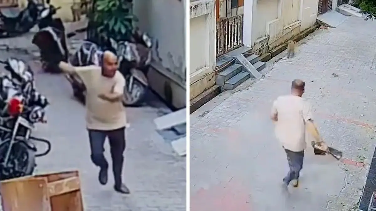 ببینید؛ حمله میمون‌ها به رهبر یک حزب سیاسی