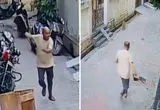 ببینید؛ حمله میمون‌ها به رهبر یک حزب سیاسی