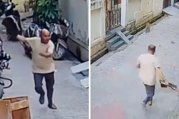 ببینید؛ حمله میمون‌ها به رهبر یک حزب سیاسی
