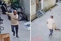 ببینید؛ حمله میمون‌ها به رهبر یک حزب سیاسی