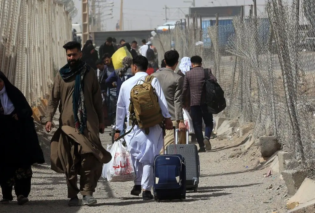 آخرین آمار اخراج روزانه مهاجران غیرقانونی افغانستانی از ایران
