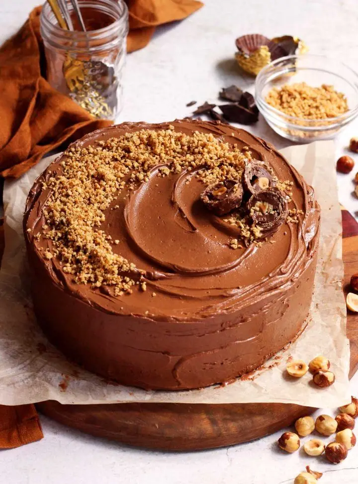طرز تهیه کیک گلکسی؛ کیک شکلاتی کافی شاپی 

