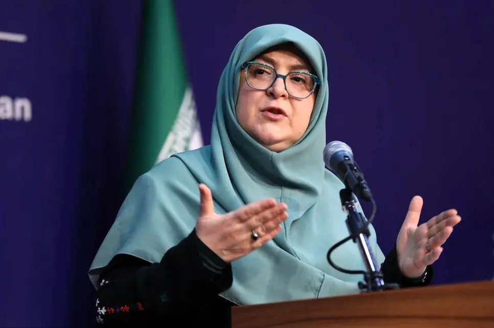 دولت هم پشت همتی را خالی کرد؛ انتقاد مهاجرانی از وزیر سابق اقتصاد