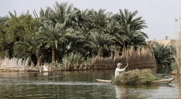 آب به زیر پوست تالاب شادگان رسید