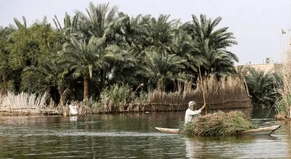 آب به زیر پوست تالاب شادگان رسید