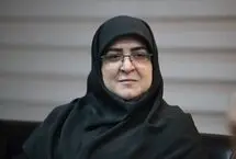 مهاجرانی: هیچ تصمیمی برای افزایش قیمت بنزین گرفته نشده 
