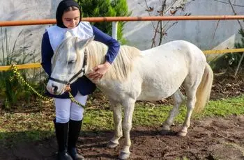 تصاویر؛ جشنواره زیبایی اسب کاسپین در انزلی