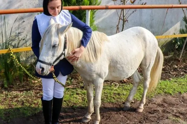 تصاویر؛ جشنواره زیبایی اسب کاسپین در انزلی