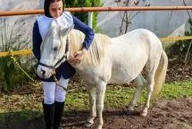 تصاویر؛ جشنواره زیبایی اسب کاسپین در انزلی