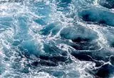 فروپاشی یک جریان اقیانوسی حیاتی؛ چرا این پدیده فاجعه‌بار است؟