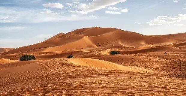 مومیایی‌های تاکارکوری؛ شکارچیانی که تاریخ را به چالش کشیدند