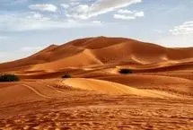 مومیایی‌های تاکارکوری؛ شکارچیانی که تاریخ را به چالش کشیدند