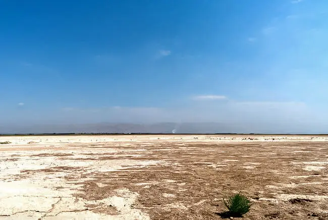 تالاب صالحیه، منشأ گرد و غبار این روزهای تهران کجاست؟