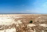 تالاب صالحیه، منشأ گرد و غبار این روزهای تهران کجاست؟