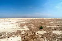 تالاب صالحیه، منشأ گرد و غبار این روزهای تهران کجاست؟