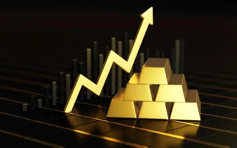 photo_2025-11-09_15-44-45