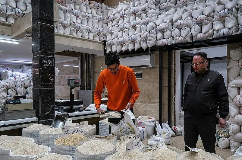 فروش گنجشک به جای قناری در بازار برنج